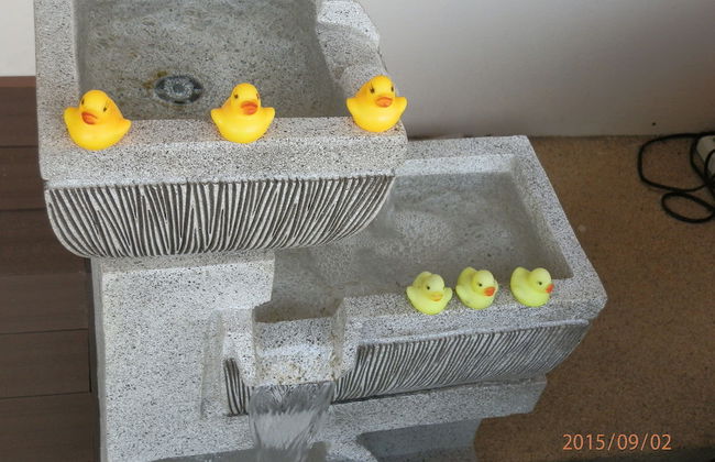 Sandy Serviced Apartment - Foto 44