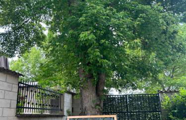 Domus Corinnae - Photo 8