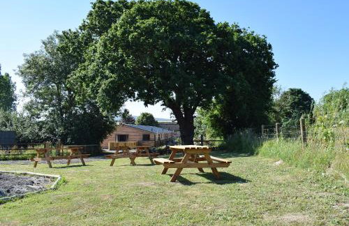 Dornfelder - Ukc3209 - Foto 10