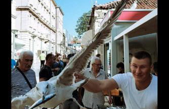 Old town hesed - Photo 80