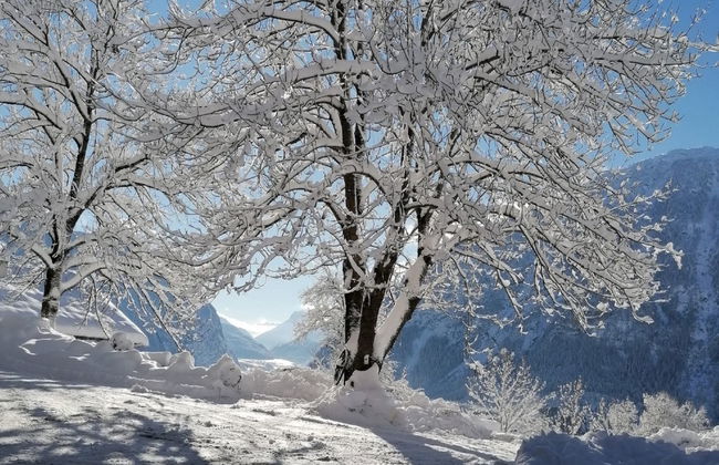 Ferienwohnung Plattner - Foto 74