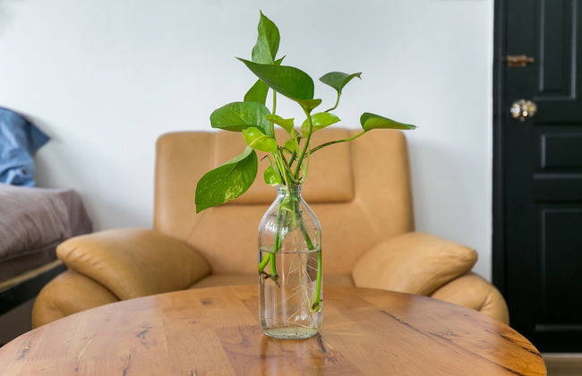 1991 Home Sai Gon - Photo 19