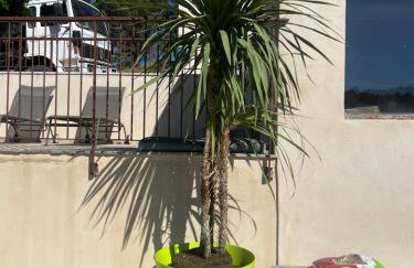 Les Grandes Conches - Foto 25