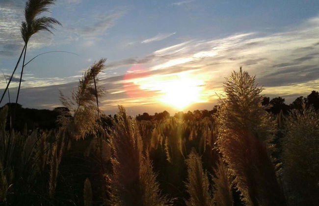 Tour in Montevideo - Foto 6