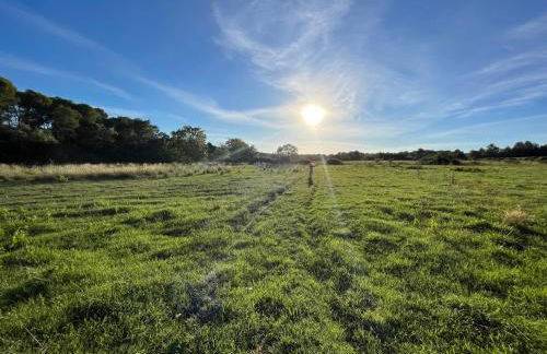 Oasis Fontmarie - appartement en pleine nature - Foto 10
