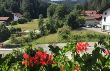 Gästehaus Alfred Klais - Foto 70