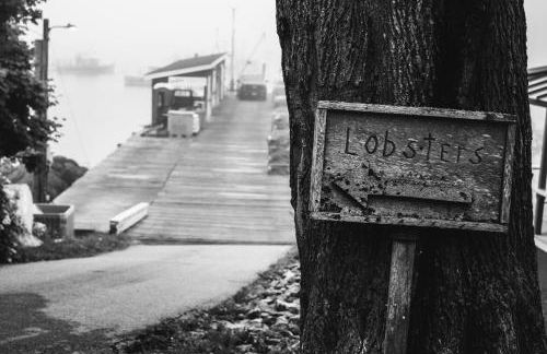 1850s Maine Farmhouse featured in Condé Nast Traveler with 11 Acres Near Water - Foto 77