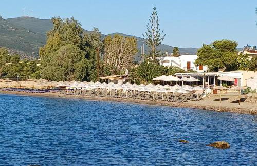 Villa Mimosa Poros Beachfront Apartment - Foto 22