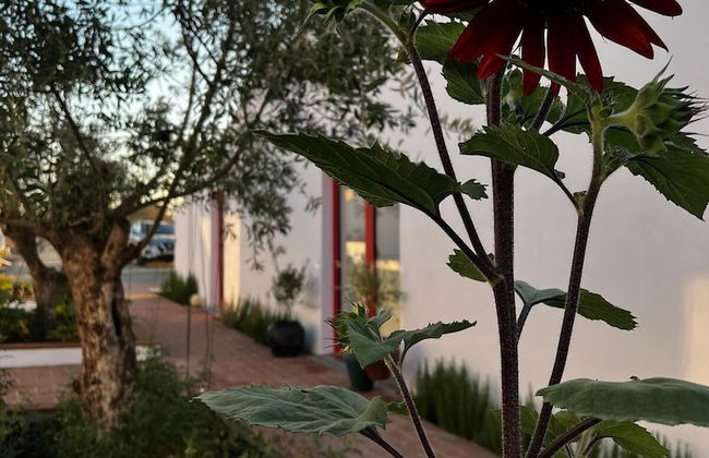 Viva Farmhouse - Foto 14