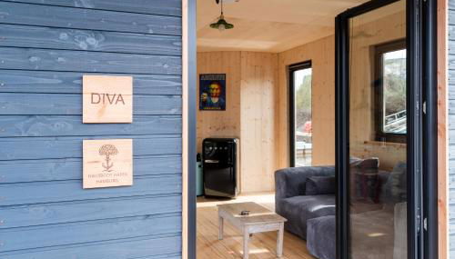 Komfort-Hausboot DIVA mit Kamin - Foto 3