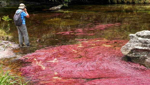 Tour de 3, 4 o 5 días por Caño Cristales y Sierra de La Macarena - Foto 4, Visitando el Caño Cristales