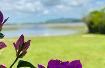 Osório Casa Rústica na Lagoa para 5 pessoas 2 quartos 250 metros da lagoabanhável 15 min da praia wiFi natureza tranquilidade - Foto 56