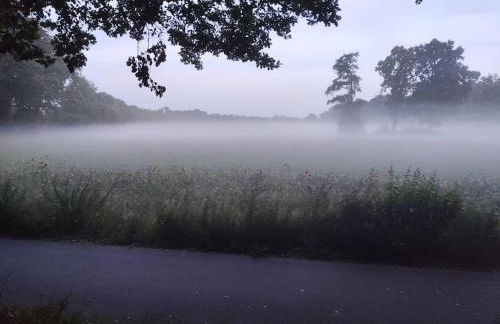 Nikis FeWo an den Dörenther Klippen - Foto 43