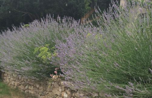 Traumparadies - Photo 72