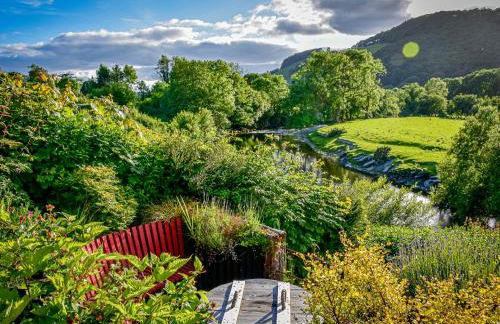 Bwthyn Dyfi - Photo 28