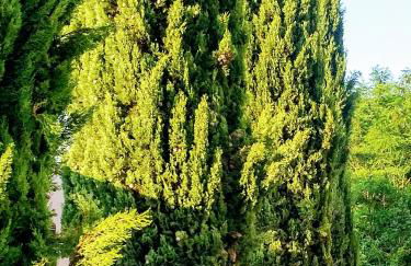 Wohnen im orientalischen Ambiente - Foto 12