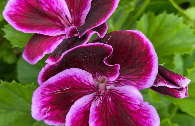 VISITAR BIOUCAS I - Casa Inteira Familiar e Grupo de Amigos - Foto 49