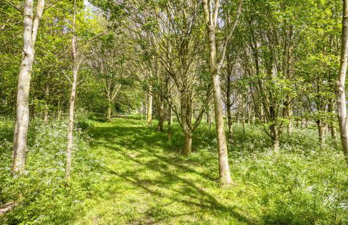 1 Little Broomcroft - Foto 40