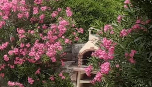 Casa Croatia - Photo 5, Garden