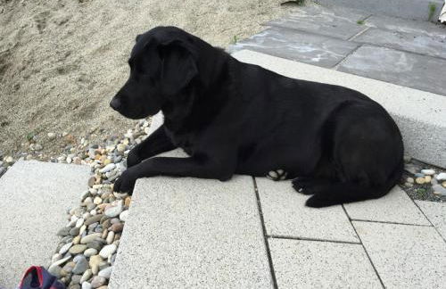 VIP Appartement - Foto 48