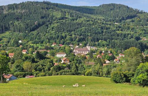 Gîte 4 à 10 Personnes avec sauna" La ferme des Sources" dans les Hautes Vosges - Foto 53