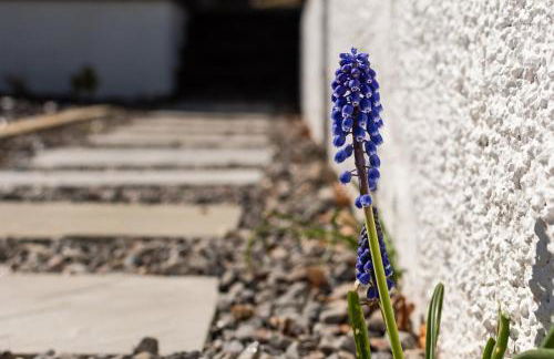 Bridgend Bothy - Foto 29