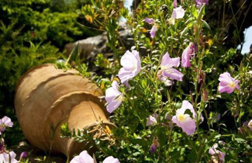 Allea Hotel and Apartments - Foto 33