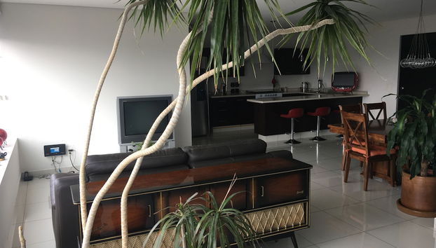 Entrada (vista interior)