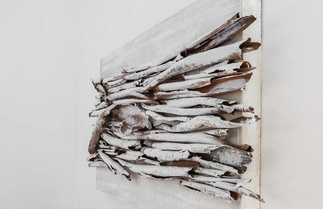 Campo Home - Foto 15