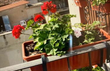 La grecità e il mare - Foto 7