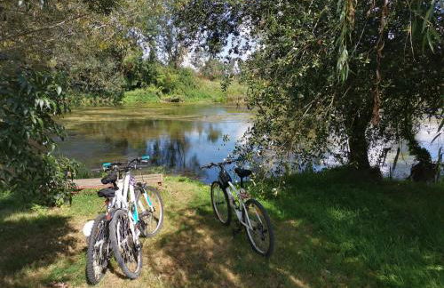 Gîte des Basses Rivières - Foto 15