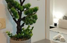 Antissa House in Carpe Diem Villas and Houses - Photo 14