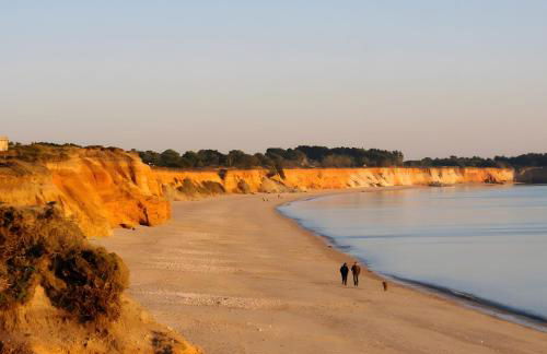 Gîte Le Champ Du Bois - Foto 29