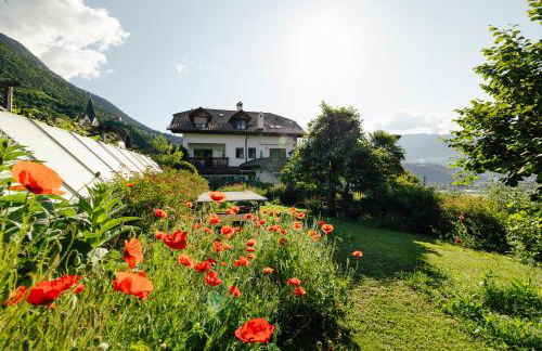 Hofer am Bach - Foto 11