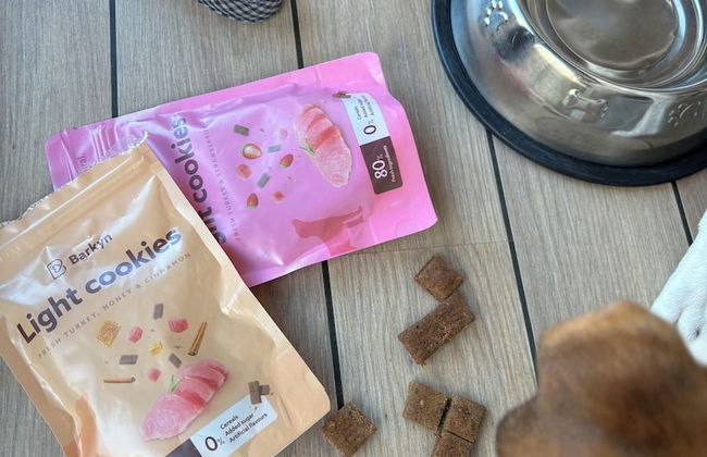 Apartamentos Líbere Valencia Jardín Botánico - Foto 53