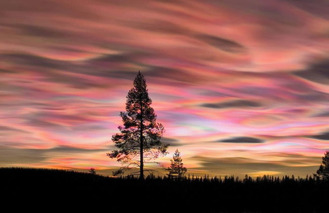 Lapland Pure Nature and More! - Foto 13