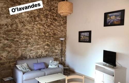 O’gîtes des colombes - Foto 11