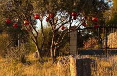 Cottage Villa Peylon - Foto 9