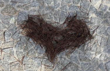 Refúgio da Serra - Cottage House - Foto 19