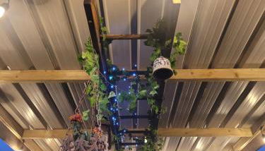 Birch Cottage with private wood fire hot tub - Foto 4, Garden