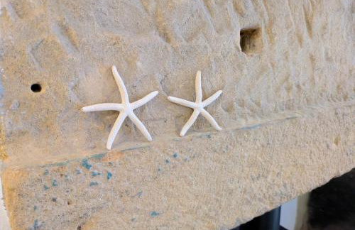 Normanby Cottage Runswick Bay - Foto 9