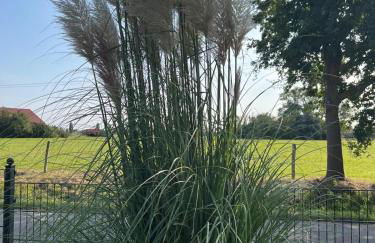 A12 Das rote Haus am Haff Roggow Ostseebad Rerik - Foto 33