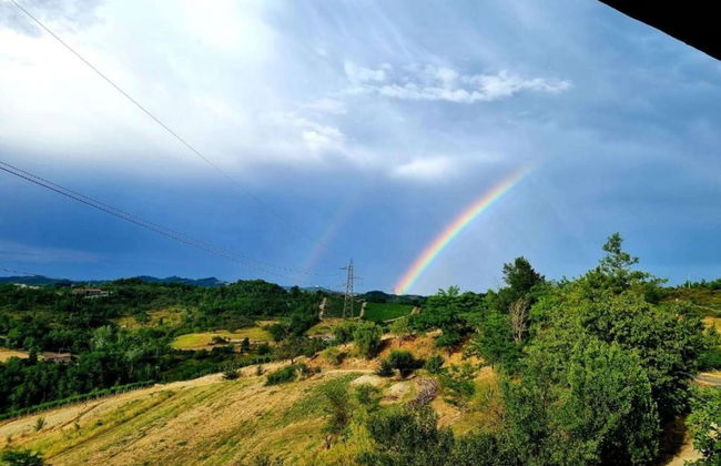 Guest House in Monferrato With Wine Tasting - Foto 42