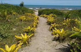 Casa Flamboaiã, Aluguel de Temporada, Guaibim, BA - Foto 6