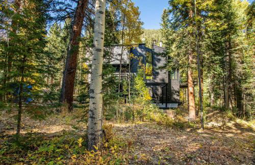 Tranquil Dumont Home with Creek and Mtn Views! - Foto 40
