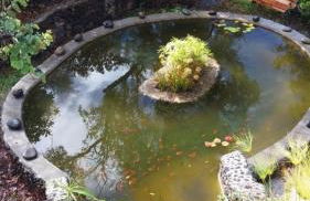 Casa las Pincoras - Foto 11