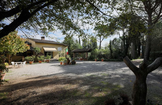 Fattoria Sant'Andrea - Photo 50