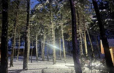 Casa Rural Campanilla - Foto 69