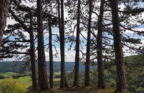 Sonnenhof, Ferienwohnung auf Reitanlage - Foto 47