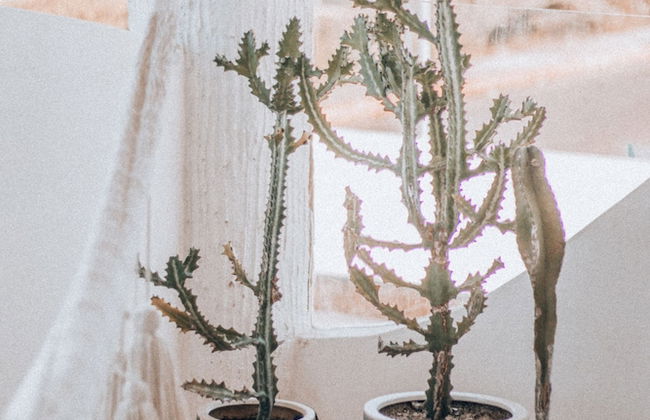 Icaco Island Village - Adults Only - Foto 59